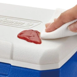 Coleman Performance 5QT Personal Cooler -Camping Equipment Store k46f35c6c2c6dd2c6e9c46849a7f097f7