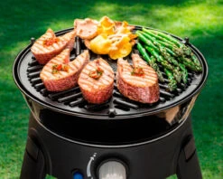 Cadac BBQ Grid 30 -Camping Equipment Store k99ed97a2ecfce9685eca27d9856eb126