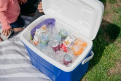 IGLOO Laguna 28QT Cool Box Red -Camping Equipment Store kb309529a331bee3c9613a50999a7df51