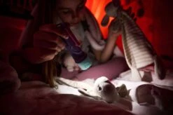 Ledlenser KidBEAM4 LED Hand Torch (Purple) -Camping Equipment Store k59e29570618b7729d370bdca435a3048