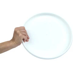 Plastic Ultimate Disc - Surf Illustration 12 Plastic Ultimate Disc - Surf Illustration -Camping Equipment Store k6abadd68bd21e02f4eeb8232e0eaab0c